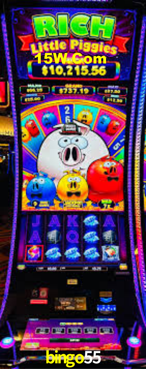bingo55 App Interface